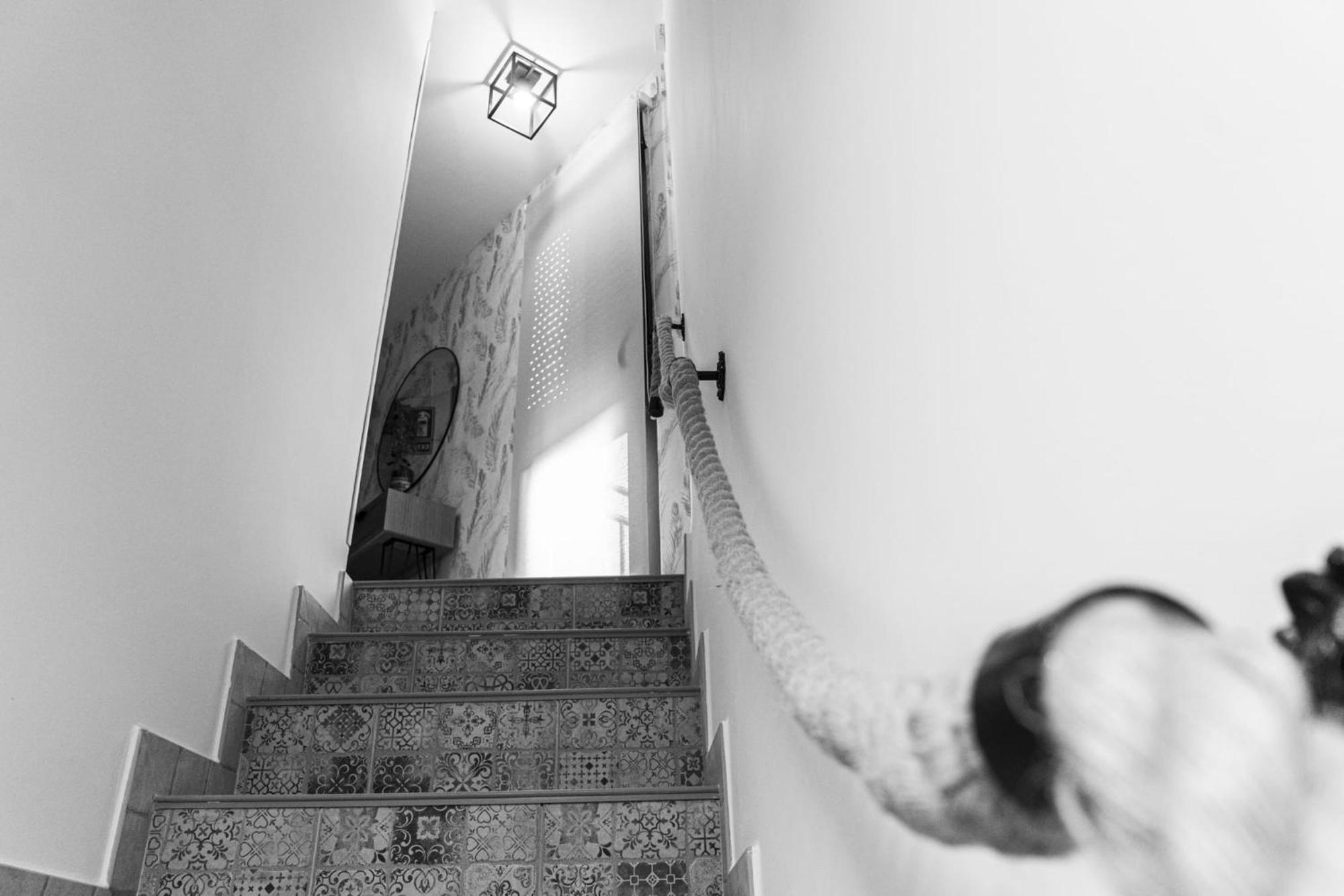 Appartement U Lagartu à Eljas Extérieur photo